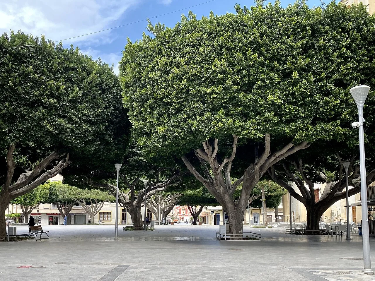 Centro de Almoradí